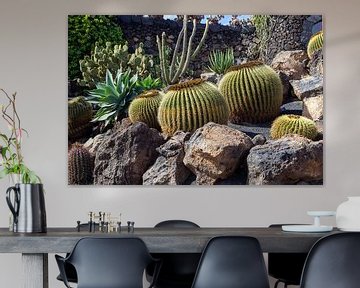 Verschillende soorten cactussen op het Canarische eiland Lanzarote van Reiner Conrad