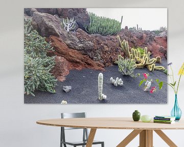 Verschillende soorten cactussen op het Canarische eiland Lanzarote van Reiner Conrad