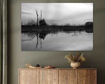 Reflection in the water