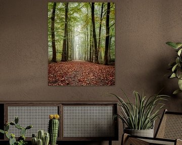 forêt d'automne brumeuse sur Arnoud van der Aart