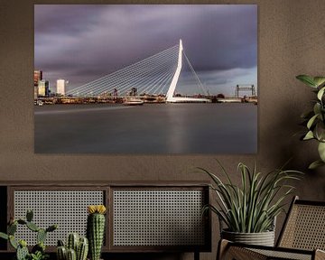 The beautiful and impressive skyline of Rotterdam II by Miranda van Hulst