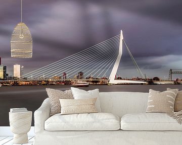 De mooie en indrukwekkende skyline van Rotterdam II