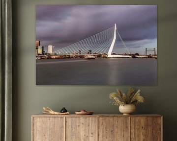 De mooie en indrukwekkende skyline van Rotterdam II