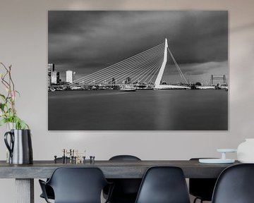 La belle et impressionnante ligne d'horizon de Rotterdam en noir et blanc