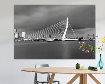 Die schöne und beeindruckende Skyline von Rotterdam in schwarz-weiß