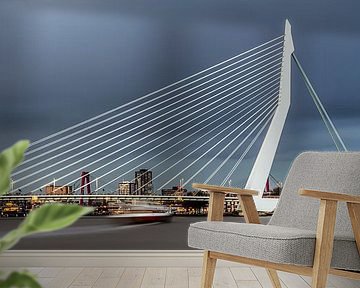 Panorama foto van de skyline van Rotterdam