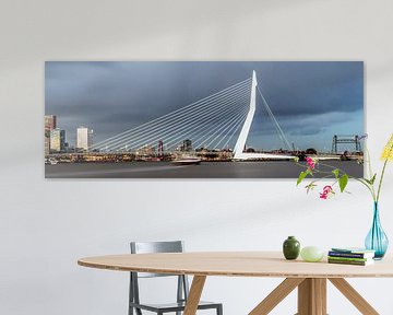 Panorama foto van de skyline van Rotterdam van Miranda van Hulst