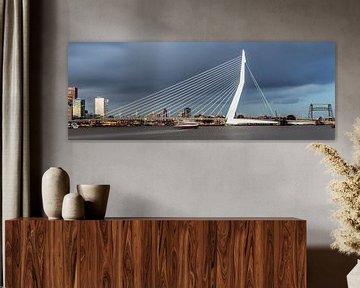 Panoramafoto der Skyline von Rotterdam von Miranda van Hulst