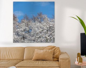 Schöne Schneelandschaft mit verschneiten Baumwipfeln unter strahlend blauem Himmel von Kim Willems