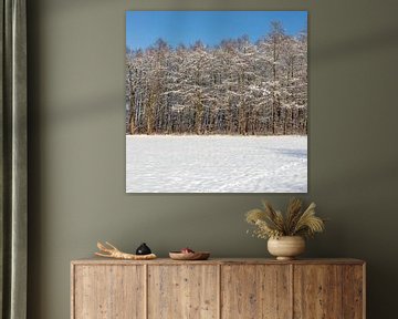 Schitteren sneeuwlandschap met besneeuwde bomen onder een stralend blauwe lucht van Kim Willems