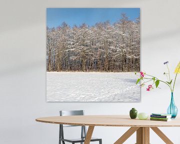 Schöne Schneelandschaft mit verschneiten Bäumen unter einem strahlend blauen Himmel von Kim Willems