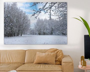 Schöne Schneelandschaft mit verschneiten Bäumen unter einem strahlend blauen Himmel von Kim Willems