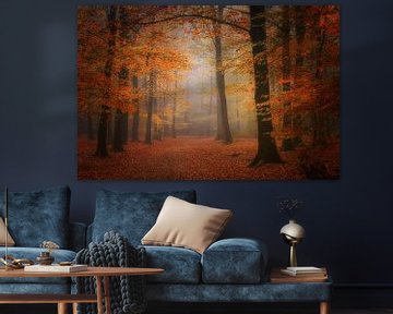 Herfst bos ,Autumn forest .Award winning picture.