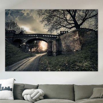 Alte Brücke von Bert-Jan de Wagenaar