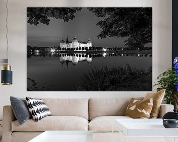 Moritzburg Castle (black and white photography)