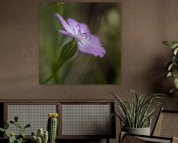 Purple flower van Richard van der Zwan