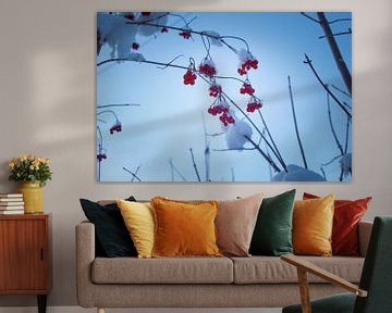 Berries in the snow by studio dewi