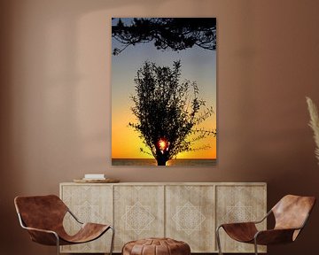 Baum im Morgenlicht von Inge Heathfield