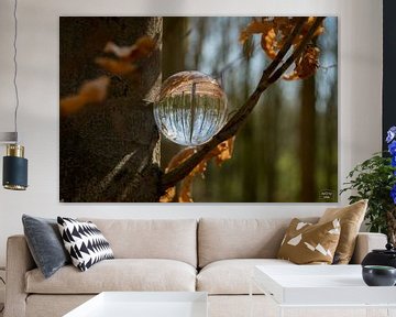 De lensball in het bos van Photo Julleke