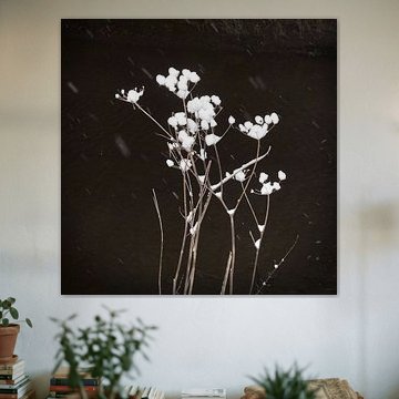 Snowfall By The River