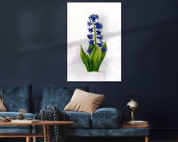 Hyacinth by Sandra Steinke