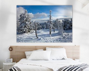 Winterimpressies van de Brocken (Harz) van t.ART