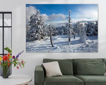 Winterimpressies van de Brocken (Harz) van t.ART