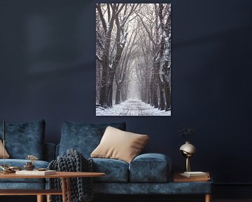 Winters bomen laantje in het Zeisterbos! van Peter Haastrecht, van