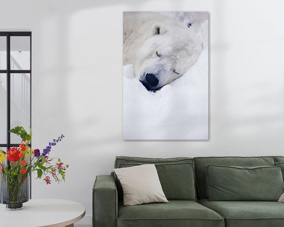 Raumvorschau