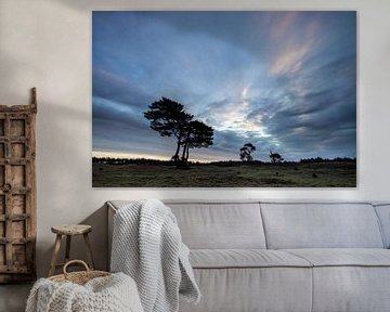 Sunrise on the Heidestein Bornia estate. by Peter Haastrecht, van