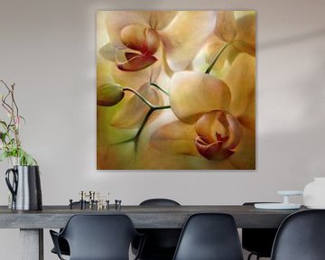 Orchids by Annette Schmucker