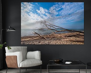 Beach at the coast of the Baltic Sea near Graal Müritz by Rico Ködder