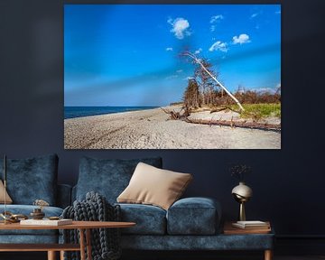 Strand aan de kust van de Oostzee bij Graal Müritz van Rico Ködder