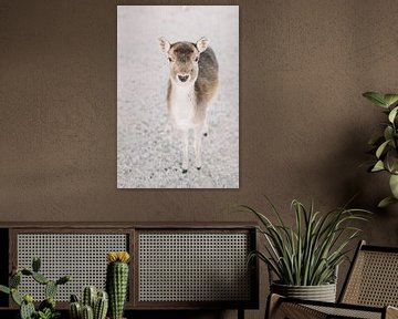 Hert in de sneeuw | Dieren fotografie in de winter | Herten portret Wall art van Milou van Ham