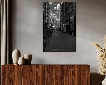 Paardenstraat Amsterdam van Peter Bartelings