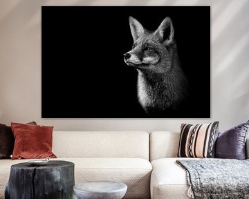 Fox in black and white by Elles Rijsdijk