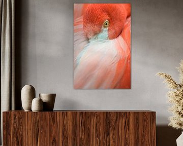 Flamingo portret van Elles Rijsdijk