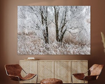 winter landscape by Ko Hoogesteger
