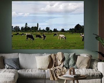 oerhollands landschap met een kudde  koeien in het weiland bij Woerden, midden in het Groene Hart van Robin Verhoef