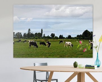 oerhollands landschap met een kudde  koeien in het weiland bij Woerden, midden in het Groene Hart van Robin Verhoef