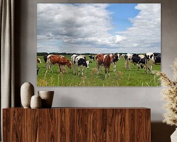 Vieux paysage hollandais avec des vaches dans la prairie près de la ville de Woerden dans la provinc sur Robin Verhoef