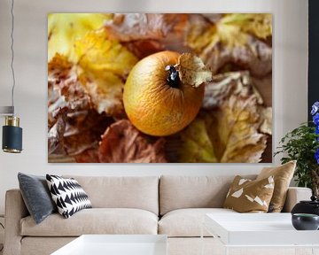 Gerimpelde appel en bladeren in herfstkleuren van Peter de Kievith Fotografie