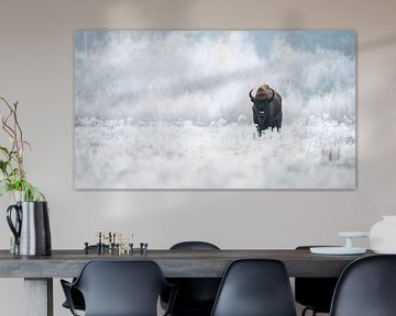 European bison ? / European bison by Alex Pansier