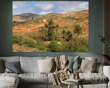 Vega de Río Palmas, Fuerteventura van Peter Schickert