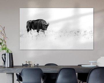 European bison in the snow by Alex Pansier