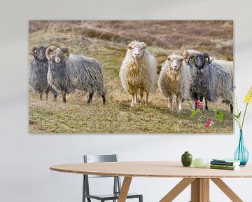Kudde schapen II van Kirsten Warner