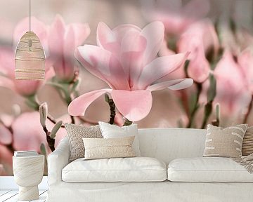 Magnolia by Violetta Honkisz