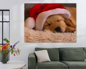 Golden Retriever hond met Kerstmuts van AudFocus - Audrey van der Hoorn