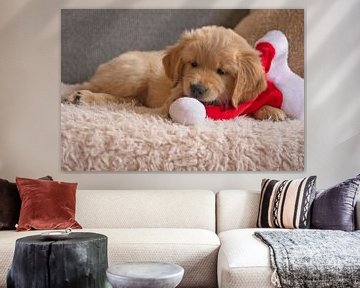 Golden Retriever puppy van AudFocus - Audrey van der Hoorn