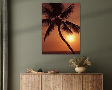 LP 70485262 Hawaii, palmboom silhouette met oranje lucht over de Oceaan